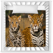 Jaguar Family Nursery Decor 50761665