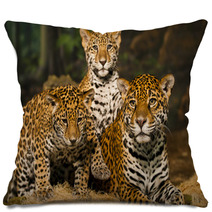 Jaguar Family Pillows 50761651