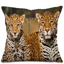Jaguar Family Pillows 50761665