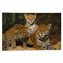 Jaguar Family Rugs 50761651