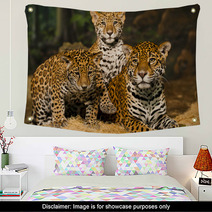 Jaguar Family Wall Art 50761651
