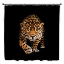 Jaguar In Darkness - Front View, Isolated Bath Decor 33861137