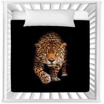Jaguar In Darkness - Front View, Isolated Nursery Decor 33861137