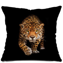 Jaguar In Darkness - Front View, Isolated Pillows 33861137