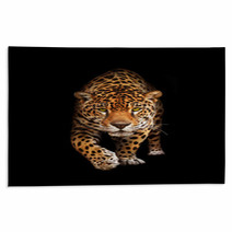 Jaguar In Darkness - Front View, Isolated Rugs 33861137