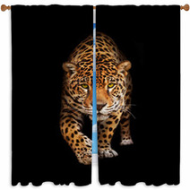 Jaguar In Darkness - Front View, Isolated Window Curtains 33861137