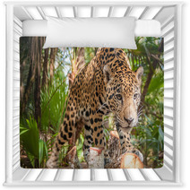 Jaguar Nursery Decor 52314818