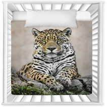 Jaguar Nursery Decor 86102880