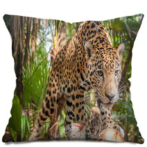 Jaguar Pillows 52314818