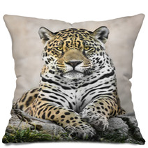 Jaguar Pillows 86102880