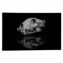 Jaguar Skull In Black And White (side View). Rugs 90896824