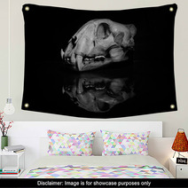 Jaguar Skull In Black And White (side View). Wall Art 90896824