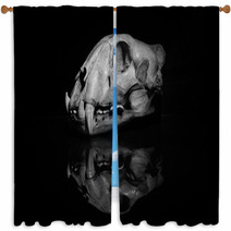 Jaguar Skull In Black And White (side View). Window Curtains 90896824