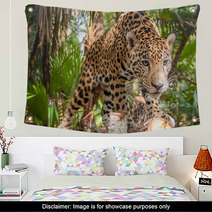 Jaguar Wall Art 52314818