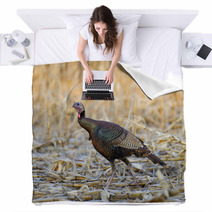 Jake Wild Turkey Blankets 47087631