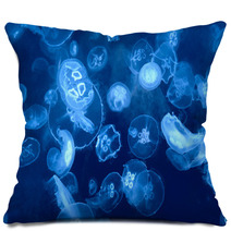 Jellyfish Background Pillows 38170629
