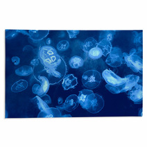 Jellyfish Background Rugs 38170629
