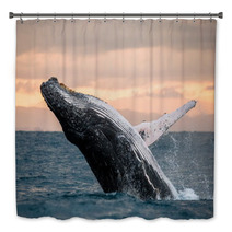 Jumping Humpback Whale Over Water Madagascar At Sunset Bath Decor 90697931