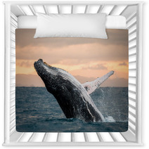 Jumping Humpback Whale Over Water Madagascar At Sunset Nursery Decor 90697931