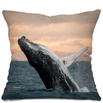 Jumping Humpback Whale Over Water Madagascar At Sunset Pillows 90697931