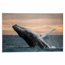 Jumping Humpback Whale Over Water Madagascar At Sunset Rugs 90697931