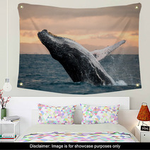 Jumping Humpback Whale Over Water Madagascar At Sunset Wall Art 90697931