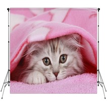 Kätzchen Schaut Unter Decke Hervor - Cat Hides Under Blanket Backdrops 56635363