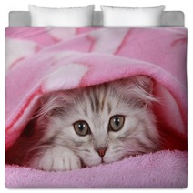 Kätzchen Schaut Unter Decke Hervor - Cat Hides Under Blanket Bedding 56635363