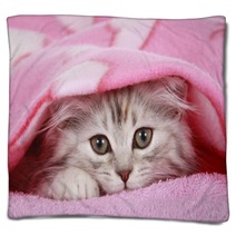 Kätzchen Schaut Unter Decke Hervor - Cat Hides Under Blanket Blankets 56635363