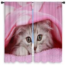Kätzchen Schaut Unter Decke Hervor - Cat Hides Under Blanket Window Curtains 56635363