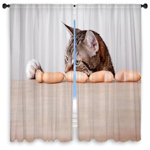 Katze Und Würstchen Window Curtains 39107615