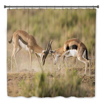 Kenya Africa Amboseli Reserve, Impala Fighting Bath Decor 81144648