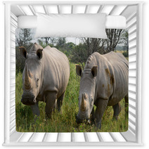 Khama Rhino Sanctuary In Botswana Nursery Decor 52618184