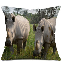 Khama Rhino Sanctuary In Botswana Pillows 52618184