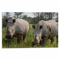 Khama Rhino Sanctuary In Botswana Rugs 52618184