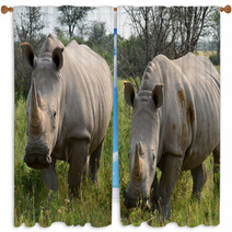 Khama Rhino Sanctuary In Botswana Window Curtains 52618184