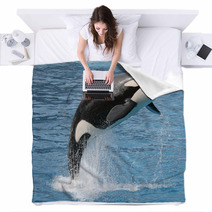Killer Whale Jump Blankets 19842137