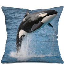 Killer Whale Jump Pillows 19842137