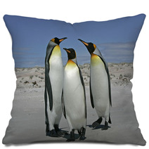 King Penguin, Aptenodytes Patagonicus Pillows 59734345