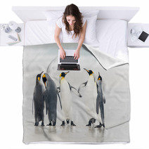 King Penguin Blankets 59772462