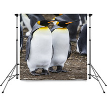 King Penguin - Couple Dreaming The Future Backdrops 63432426