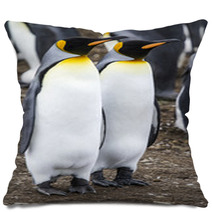 King Penguin - Couple Dreaming The Future Pillows 63432426
