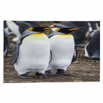 King Penguin - Couple Dreaming The Future Rugs 63432426