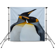 King Penguin Couple In Love Backdrops 59571055