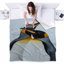King Penguin Couple In Love Blankets 59571055