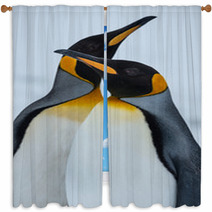 King Penguin Couple In Love Window Curtains 59571055