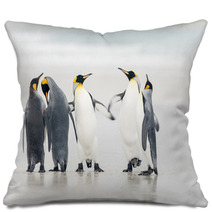 King Penguin Pillows 59772462