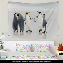 King Penguin Wall Art 59772462