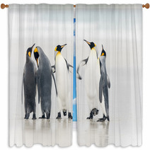 King Penguin Window Curtains 59772462