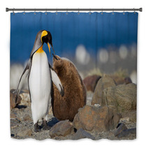 King Penguin With Young One Bath Decor 67661951